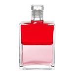 Aura Soma Equi. B80 Rot/Pink 50ml / Bild 1