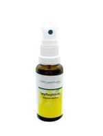 Naturathek Impfbegleitung 50ml Spray / Bild 1