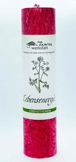 Allgäuer Heilkräuter-Kerze LEBENSENERGIE / Bild 1